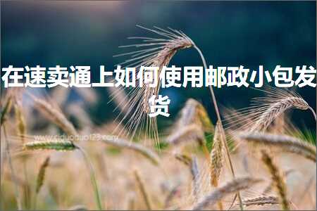 跨境电商知识:在速卖通上如何使用邮政小包发货